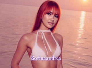 sorinaandrea Super Webcam