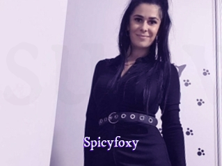 spicyfoxy Super Webcam