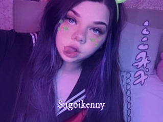 sugoikenny Super Webcam