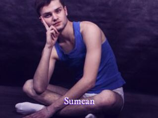 sumean Super Webcam