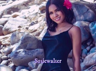 susiewalter Super Webcam