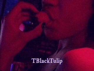 TBlackTulip