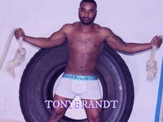 TONYBRANDT