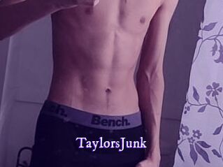 TaylorsJunk