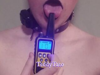 TeddyTato