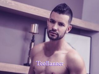TeoBanner