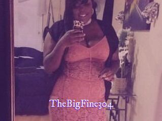 TheBigFine304