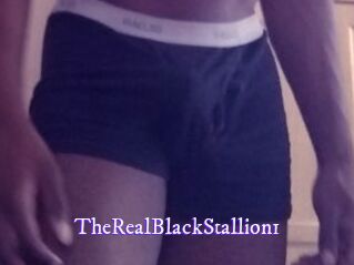 TheRealBlackStallion1