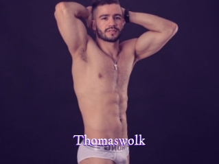 Thomaswolk Super Webcam