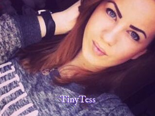 TinyTess