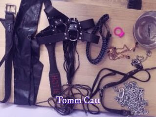 Tomm_Catt