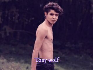 Tony_wolf