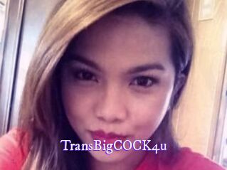 TransBigCOCK4u
