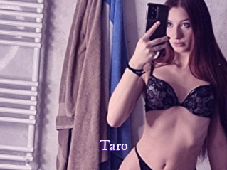 Taro