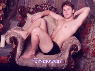 Tevinowens