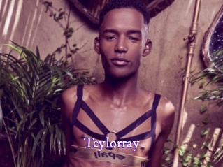 teylorray Super Webcam