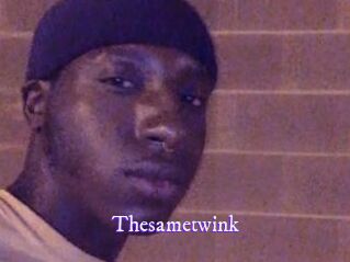 Thesametwink
