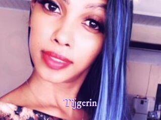 Tijgerin