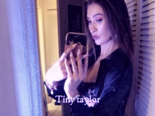 Tiny_taylor