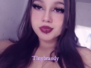 Tinybrandy