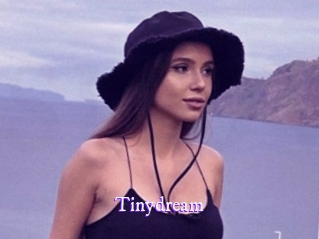 Tinydream