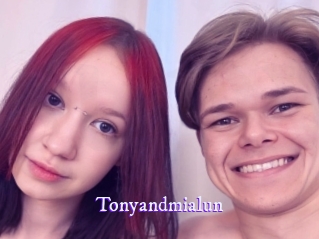 tonyandmialun Super Webcam