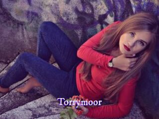 Torrymoor
