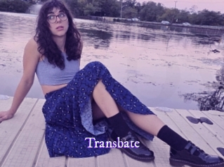transbate Super Webcam
