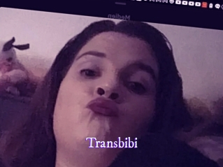 Transbibi