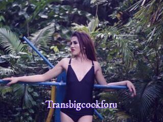 Transbigcockforu