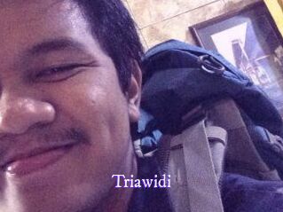 Triawidi