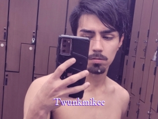 Twunkmikee