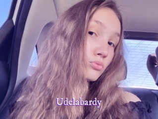 udelabardy Super Webcam