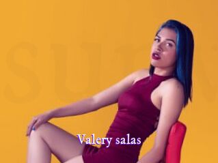 valery_salas Super Webcam
