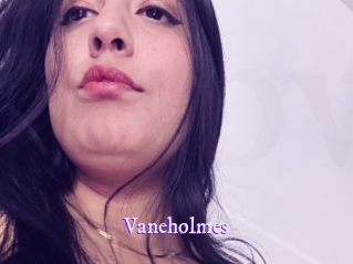 Vaneholmes