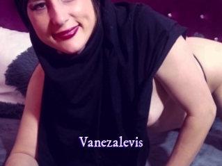 Vanezalevis