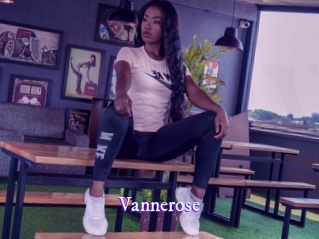 vannerose Super Webcam