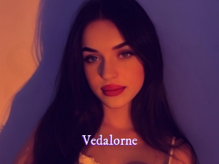 vedalorne Super Webcam