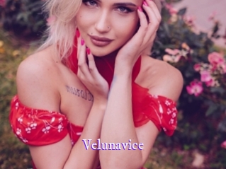 velunavice Super Webcam