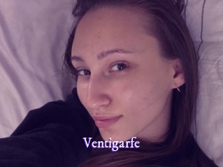 ventigarfe Super Webcam