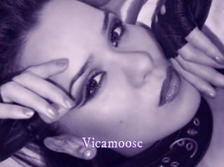 vicamoose Super Webcam