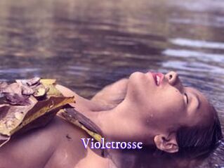 Violetrosse
