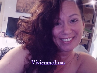 Vivienmolinas