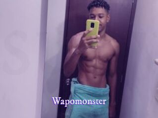 Wapomonster Super Webcam