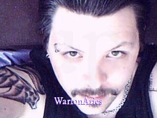WarlonAries Super Webcam