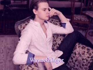 WayneGalager