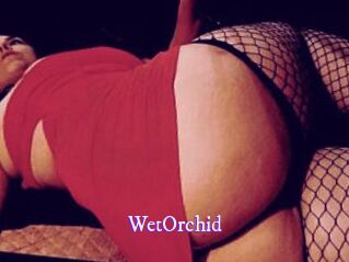 WetOrchid