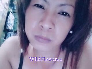 WildFlowerxx