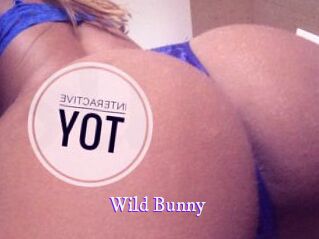 Wild_Bunny_