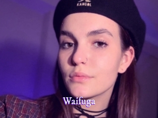 waifuga Super Webcam